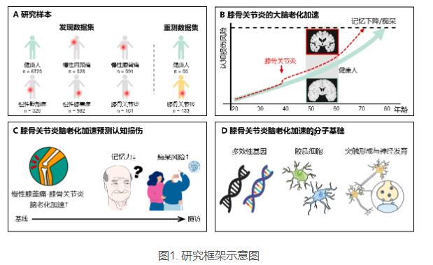 盖_20240401103921.jpg